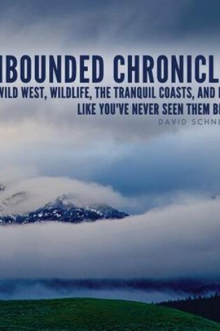 Cover of Unbounded Chronicles (Hardcover)