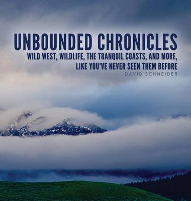 Book cover for Unbounded Chronicles (Hardcover)