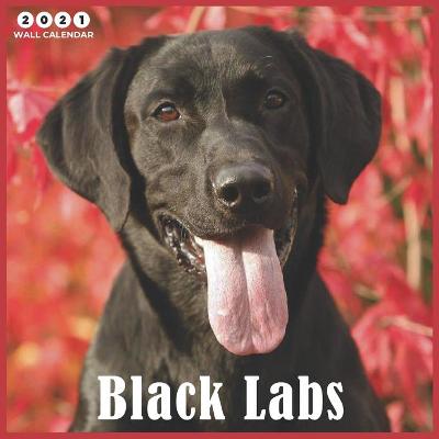 Book cover for Black Labs 2021 Wall Calendar