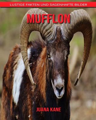 Book cover for Mufflon