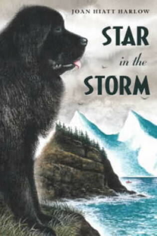 Cover of Star in the Storm