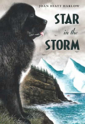 Book cover for Star in the Storm