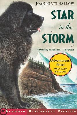 Book cover for Star in the Storm