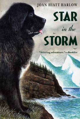 Book cover for Star in the Storm