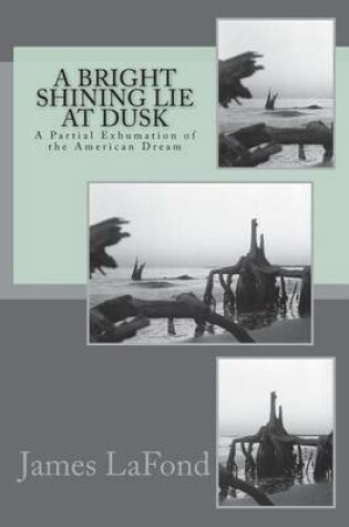 Cover of A Bright Shining Lie at Dusk