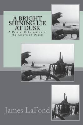 Book cover for A Bright Shining Lie at Dusk