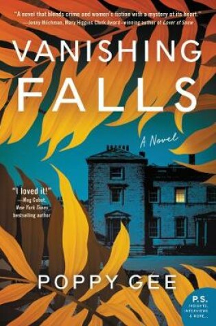 Cover of Vanishing Falls