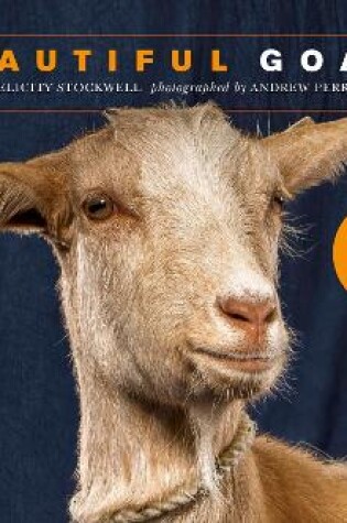 Cover of Beautiful Goats