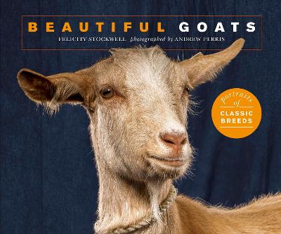 Book cover for Beautiful Goats