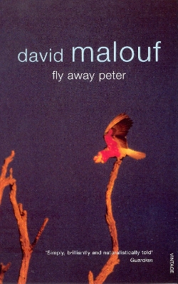 Book cover for Fly Away Peter