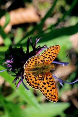 Cover of Wetlands Mother of Pearl Butterfly, for the Love of Nature