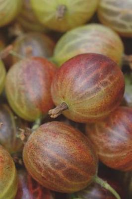 Book cover for Here, Have a Gooseberry Journal - Oh, Sorry, This Fruit Is Just a Picture