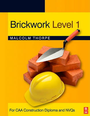 Book cover for Brickwork Level 1