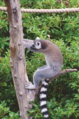 Book cover for Ring-Tailed Lemur Trying to Pull Down a Tree Journal