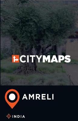 Book cover for City Maps Amreli India