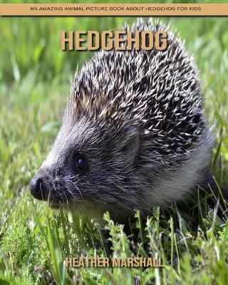 Book cover for Hedgehog