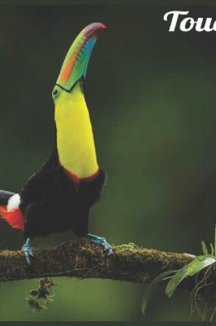 Cover of Toucan 2021 Wall Calendar