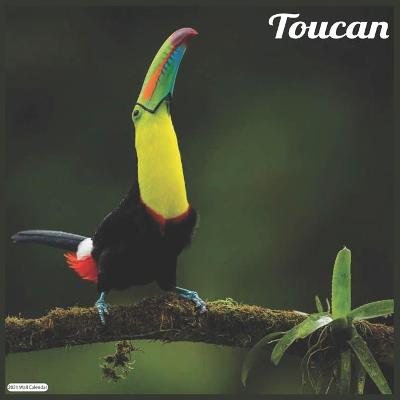 Book cover for Toucan 2021 Wall Calendar