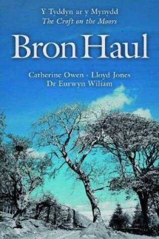 Cover of Bron Haul - Y Tyddyn ar y Mynydd/The Croft on the Moors