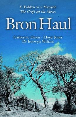 Book cover for Bron Haul - Y Tyddyn ar y Mynydd/The Croft on the Moors