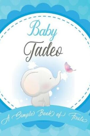Cover of Baby Tadeo A Simple Book of Firsts