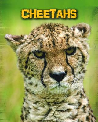 Cover of Cheetahs