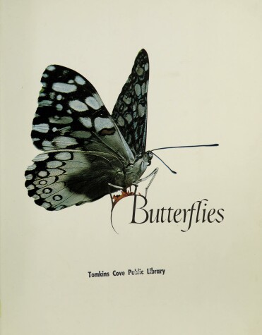 Book cover for Butterflies