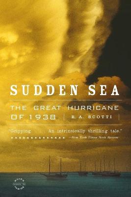 Book cover for Sudden Sea