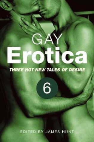 Cover of Gay Erotica, Volume 6