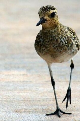 Cover of A Golden Plover Bird on the Shore Journal