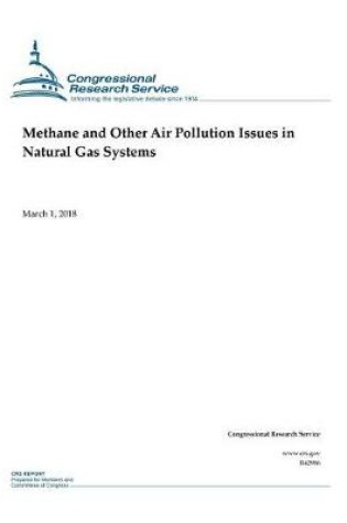 Cover of Methane and Other Air Pollution Issues in Natural Gas Systems