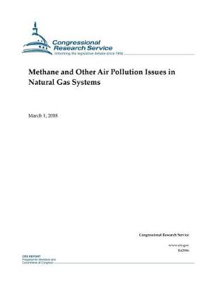 Book cover for Methane and Other Air Pollution Issues in Natural Gas Systems