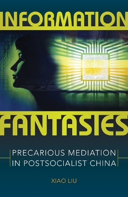 Book cover for Information Fantasies