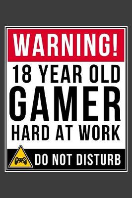 Book cover for Warning 18 Year Old Gamer Hard At Work Do Not Disturb