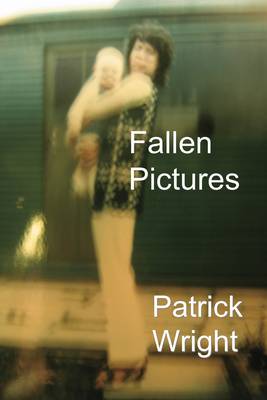Book cover for Fallen Pictures