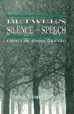 Book cover for Between Silence and Speech