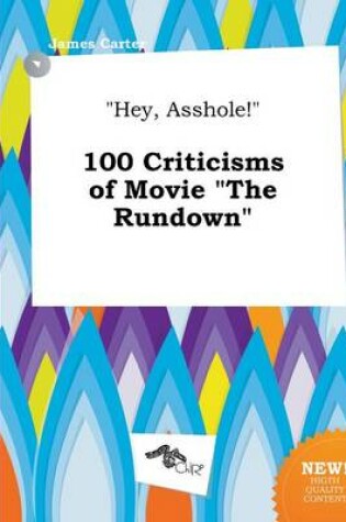 Cover of Hey, Asshole! 100 Criticisms of Movie the Rundown