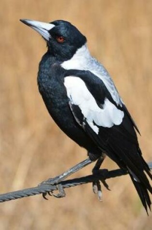 Cover of Australian Magpie Perched on a Twig Journal