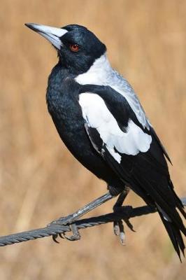 Book cover for Australian Magpie Perched on a Twig Journal