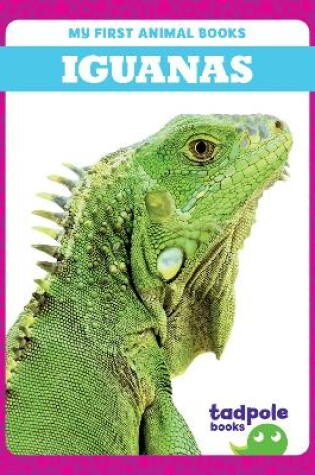 Cover of Iguanas