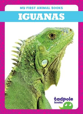 Book cover for Iguanas