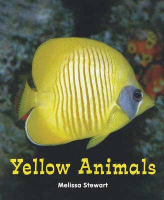 Cover of Yellow Animals
