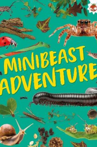 Cover of Minibeast Adventure