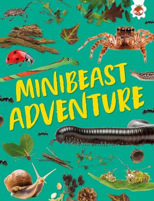 Cover of Minibeast Adventure