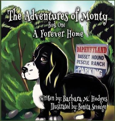 Book cover for The Adventures of Monty