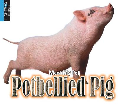 Book cover for Potbellied Pig