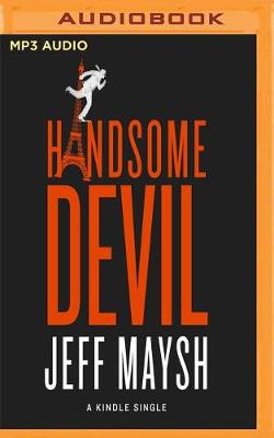 Book cover for Handsome Devil