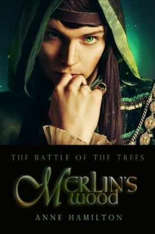 Cover of Merlin's Wood