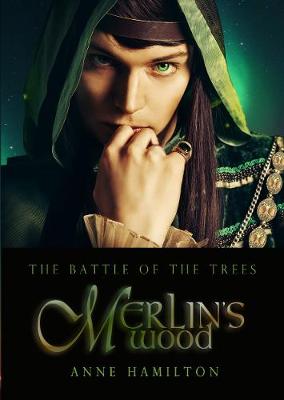 Book cover for Merlin's Wood