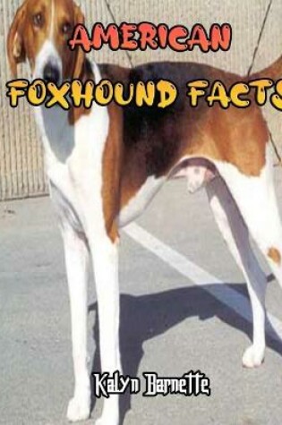 Cover of American Foxhound Facts